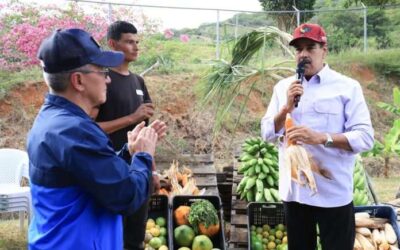 Presidente activa cosecha Cafetalera Comunal 2025-2026