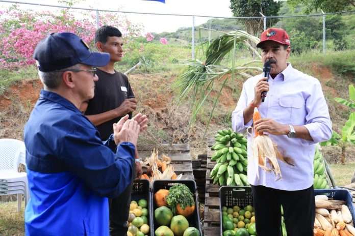 Presidente activa cosecha Cafetalera Comunal 2025-2026