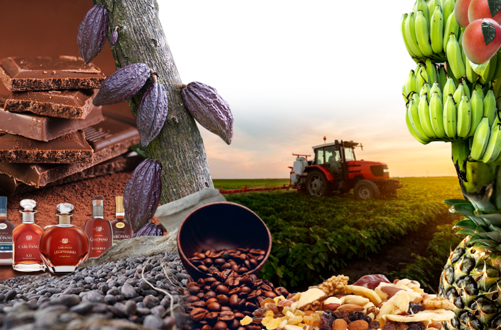 BCV: Exportaciones no petroleras alcanzaron en 2025 su monto más alto desde 1997