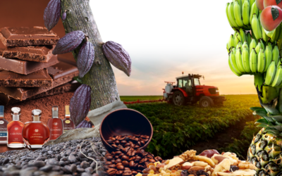 BCV: Exportaciones no petroleras alcanzaron en 2025 su monto más alto desde 1997