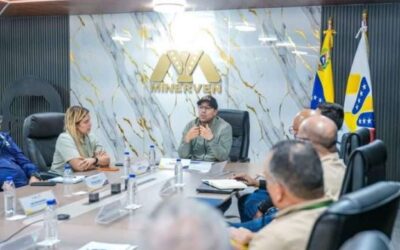 Gobierno y Minerven evalúan planes de producción aurífera